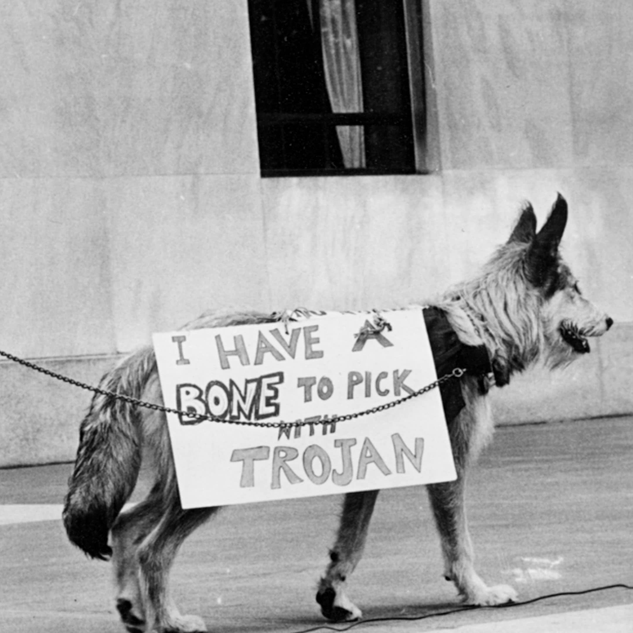 Anti-Nuclear Rally